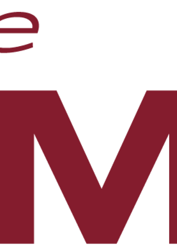 Logo_groupe_samse